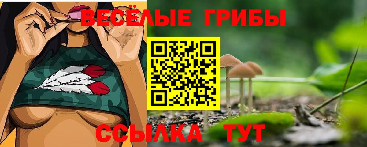 как найти закладки  Вход с VPN  Губкин  Галлюциногенные грибы Cubensis 
